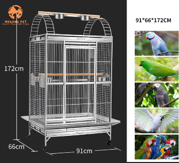Chuồng nuôi giống vẹt xám Châu Phi